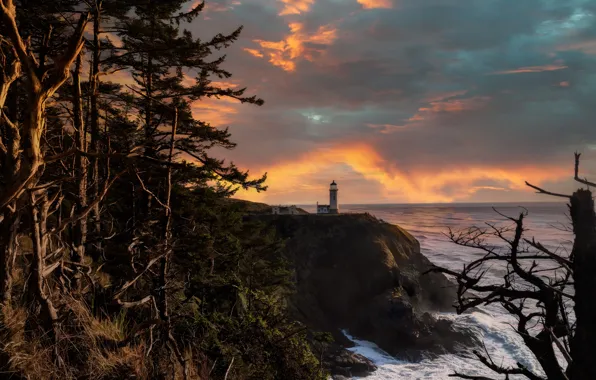 Картинка деревья, пейзаж, закат, природа, океан, скалы, маяк, США