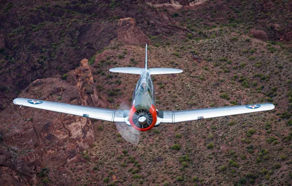 Самолёт, T-6, учебно-тренировочный, Texan II
