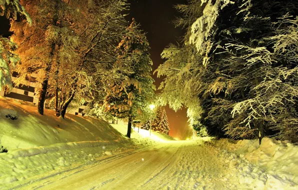 Картинка зима, дорога, снег, деревья, фонари