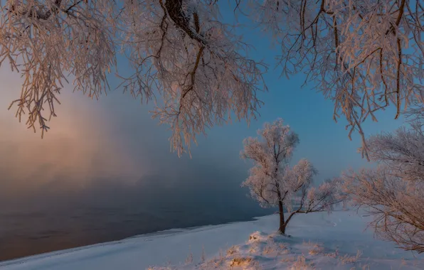 Зима, иней, снег, деревья, утро, мороз, Россия, Хакасия
