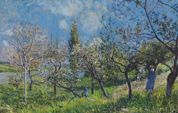 Картинка пейзаж, картина, Alfred Sisley, Весенний сад, Альфред Сислей