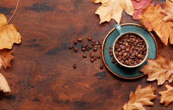 Осень, листья, зерна, wood, autumn, leaves, cup, beans