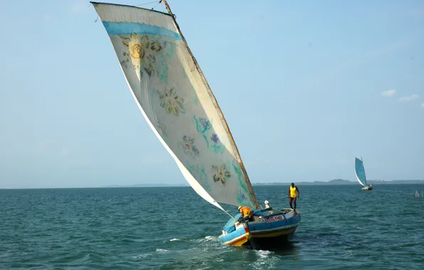 Nature, Landscapes, Brazil, Bahia, South American