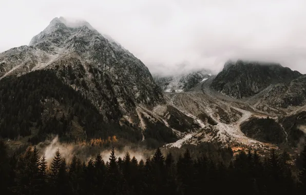 Природа, Горы, Туман, Деревья, Гора, Лес, Пейзаж, Nature