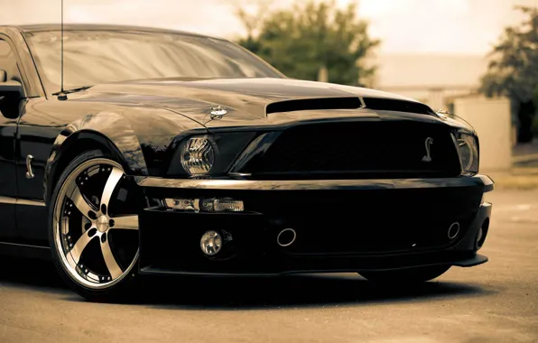 Чёрный, Mustang, Ford, Shelby, GT500, мустанг, мускул кар, black