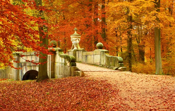 Картинка осень, лес, листья, деревья, пейзаж, мост, природа