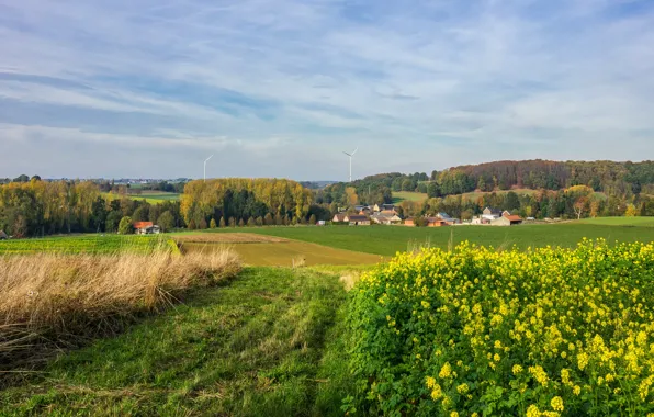 Дорога, зелень, поле, осень, лес, небо, трава, облака