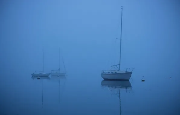 Картинка море, туман, лодка, яхта