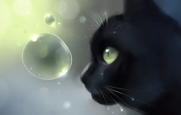 Обои кошка, кот, пузырьки, черный, голова, арт, профиль, Apofiss на телефон  и рабочий стол, раздел кошки, разрешение 1920x1080 - скачать