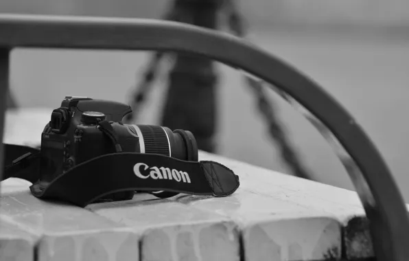 Картинка canon, скамья, фотоаппарат