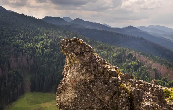 Hill, scenery, tatras, scene, valley, outdoors, carpathians, zakopane