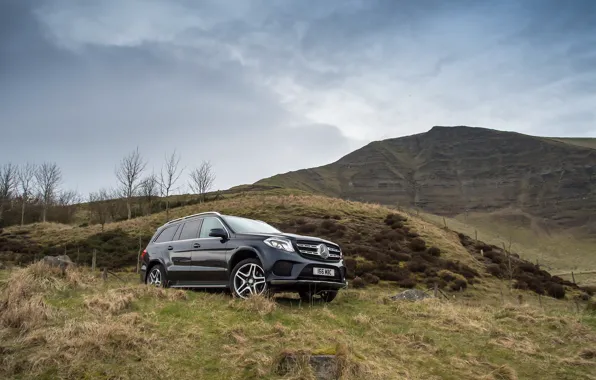 Mercedes-Benz, холм, Amg, 350, GLS