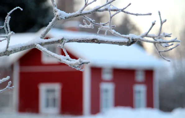Картинка зима, снег, пейзаж, природа, дом, дерево