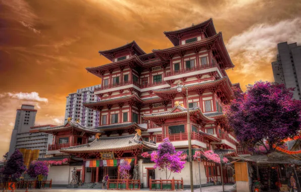 HDR, сакура, Сингапур, Design, Singapore, Houses