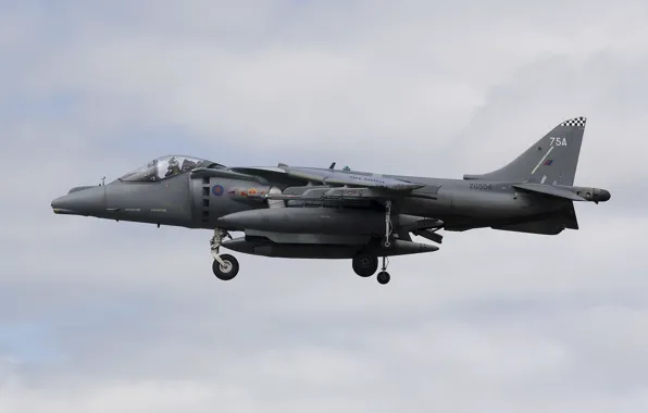 Картинка пилот, штурмовик, взлет, Harrier II, AV-8B, «Харриер» II