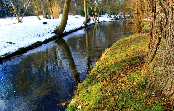 Trees, park, water stream