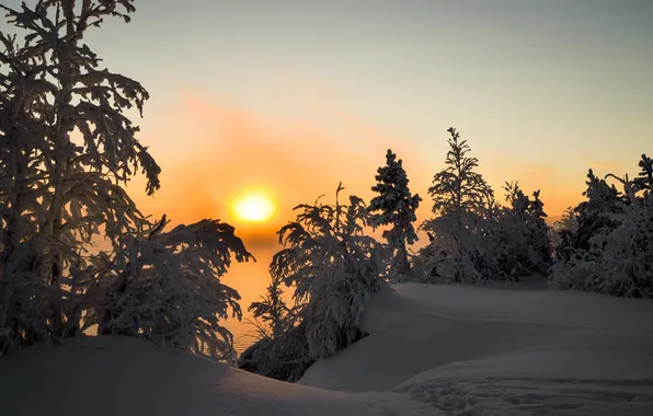 Картинка зима, снег, пейзаж, закат