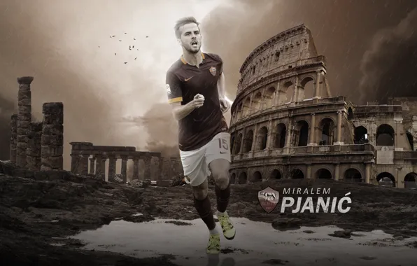 Wallpaper, sport, football, player, AS Roma, Miralem Pjanic