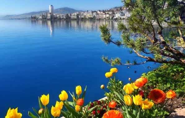 Картинка цветы, озеро, Швейцария, Switzerland, Женевское озеро, Монтрё, Lake Geneva, Montreux