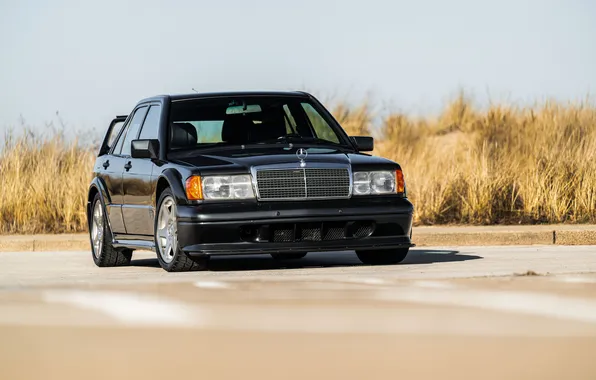 Mercedes-Benz, Mercedes, 1990, 190, Mercedes-Benz 190 E 2.5-16 Evolution II