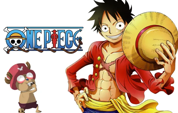 Skull, logo, game, Chopper, One Piece, pirate, anime, boy