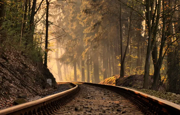 Картинка осень, лес, свет, железная дорога