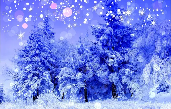 Холод, зима, лес, снег, деревья, пейзаж, синий, природа