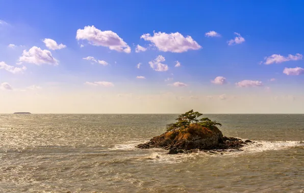 Картинка море, деревья, природа, скала, остров