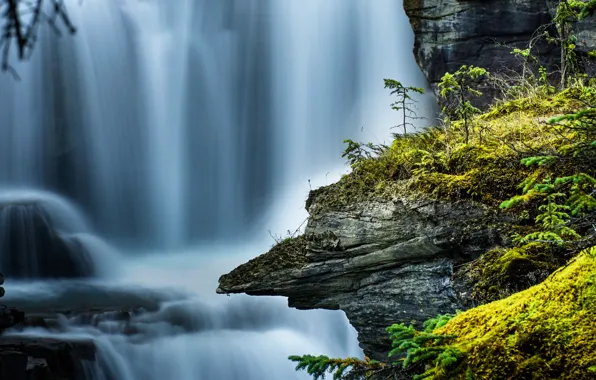 Скала, водопад, мох, поток, Канада, Альберта, Alberta, Canada