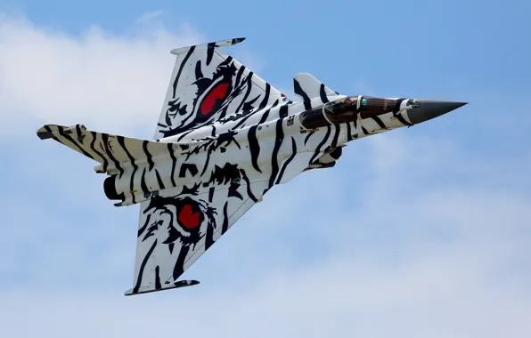 Оружие, Rafale M, French Navy
