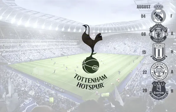 Football, Spurs, Tottenham Hotspur