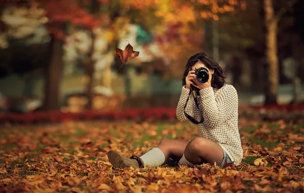 Картинка осень, листья, девушка, деревья, парк, желтые, брюнетка, фотоаппарат