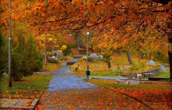 Осень, Деревья, Фонари, Парк, Fall, Листва, Park, Autumn