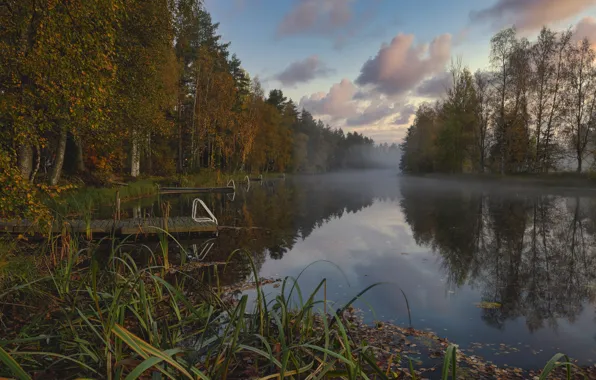 Картинка осень, лес, пейзаж, природа, туман, река, мостки