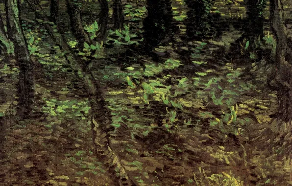 Лес, деревья, природа, листва, Vincent van Gogh, Undergrowth with Ivy