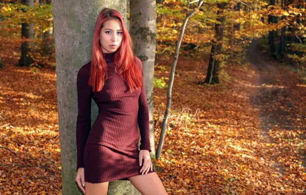 Forest, long hair, hot girl, trees, nature, model, trail, outside