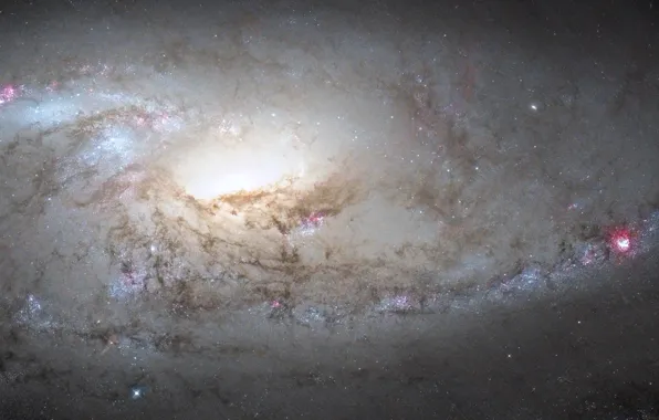 Space, universe, stars, constellations