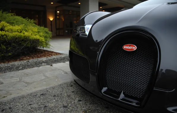 Черный, Bugatti, Veyron, exotic, гиперкар