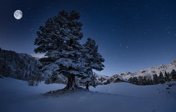 Картинка зима, снег, деревья, пейзаж, горы, ночь, природа, луна