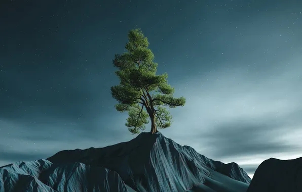 Картинка trees, landscape, nature, stars, digital art, artwork, digital painting, starred sky
