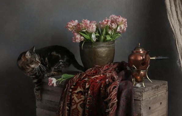 Кошка, кот, цветы, поза, доски, букет, весна, чайник