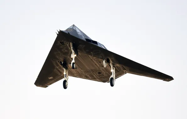 ВВС США, малозаметный ударный самолёт, Lockheed F-117 Nighthawk, американский одноместный дозвуковой тактический