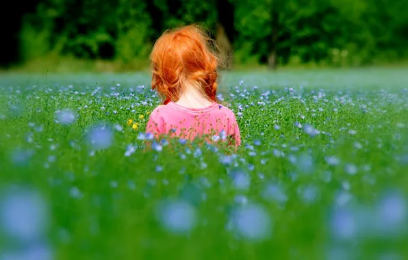 Картинка трава, природа, дети, настроения, ребенок, девочка, рыжая