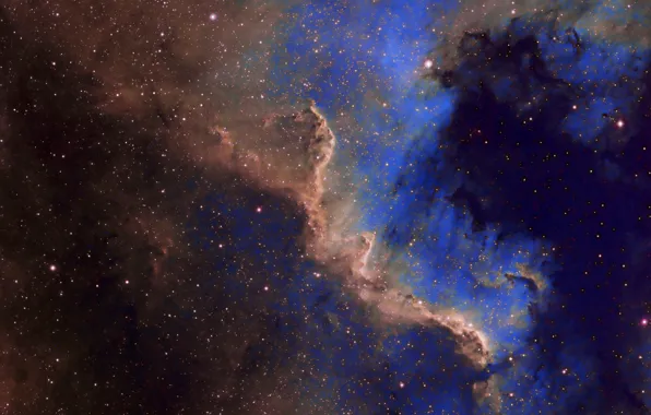 Картинка туманность, красота, Северная Америка, в созвездии, эмиссионная, Лебедя, NGC 7000