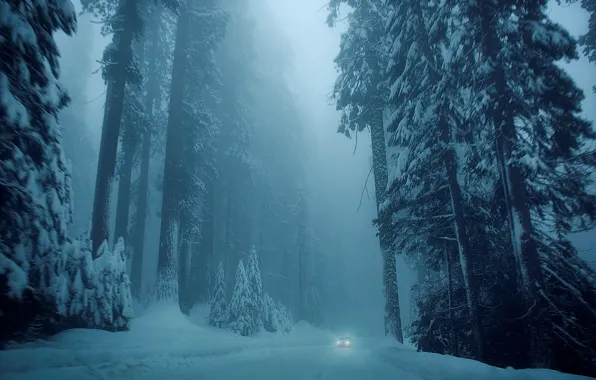 Картинка холод, зима, дорога, car, машина, снег, деревья, природа