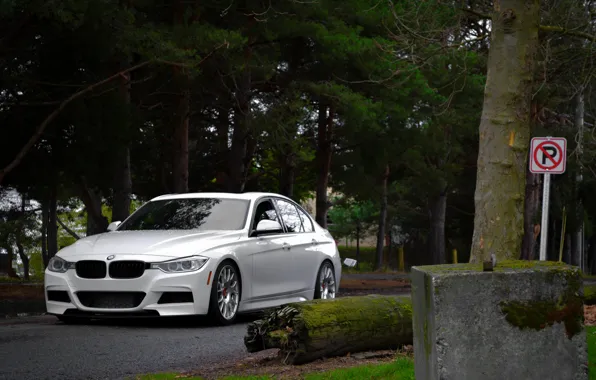Картинка BMW, white, front, F30