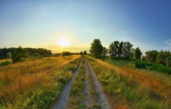 Картинка дорога, лето, солнце, восход, поляна