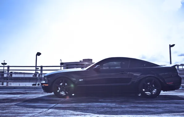 Mustang, мустанг
