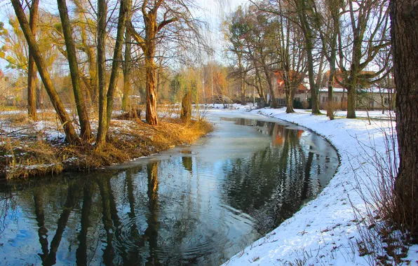 Trees, water, park, pond