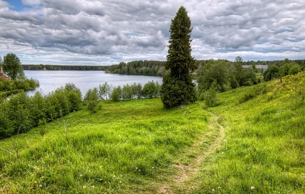 Зелень, лес, трава, облака, деревья, озеро, домики, Россия